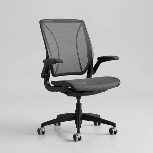 Humanscale Diffrient World Chair